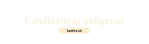 Candidaturas indígenas